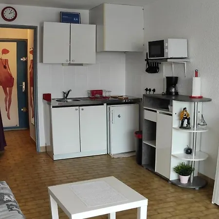 Studio Avec Piscine - Proche - 27m2